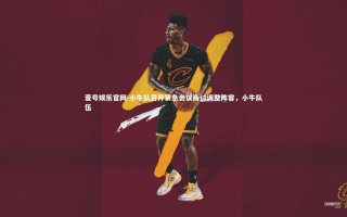 壹号娱乐官网-小牛队召开紧急会议商讨调整阵容，小牛队伍