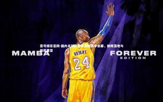 壹号娱乐官网-国内足球职业联赛新赛季启幕，新规落地与格局重塑