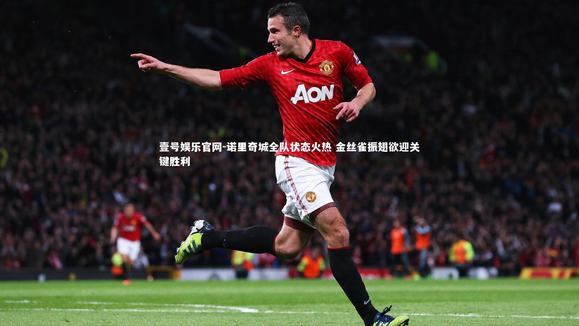 壹号娱乐官网-诺里奇城全队状态火热 金丝雀振翅欲迎关键胜利-第1张图片-壹号娱乐官网