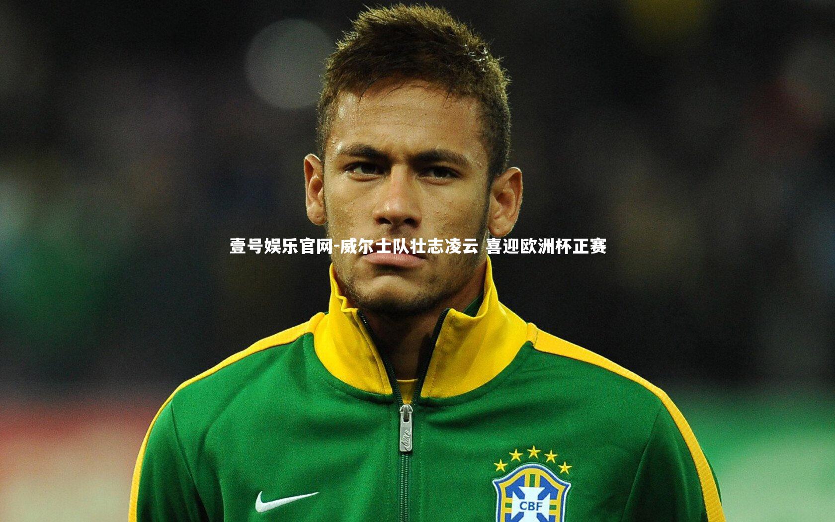 壹号娱乐官网-威尔士队壮志凌云 喜迎欧洲杯正赛-第2张图片-壹号娱乐官网